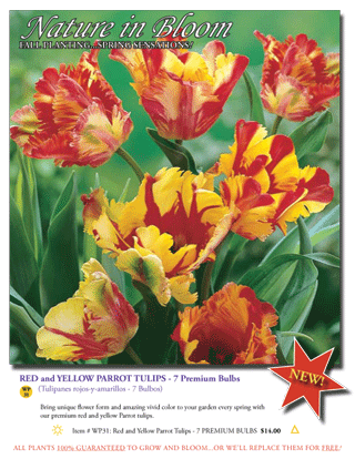 Flower Bulb Fundraisers Make Your Profits Bloom!